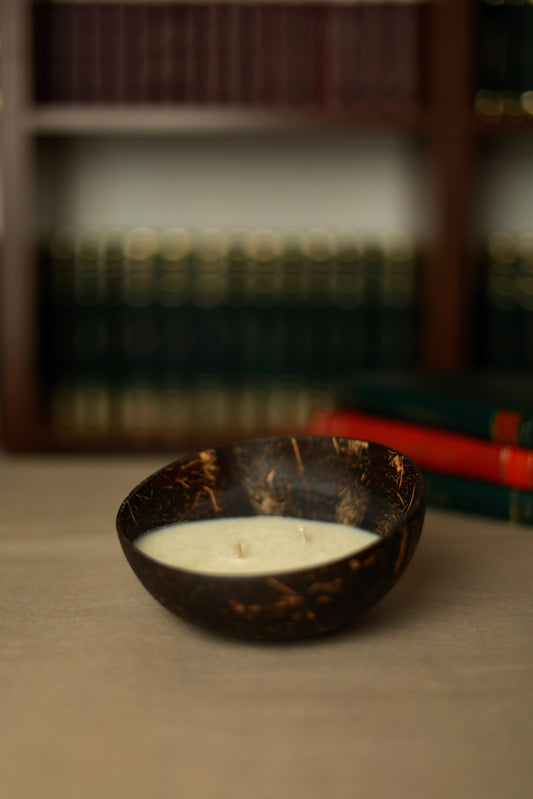 COCO – lumânare în recipient cu aspect de coajă de cocos, 150 g ceară de cocos, realizată manual